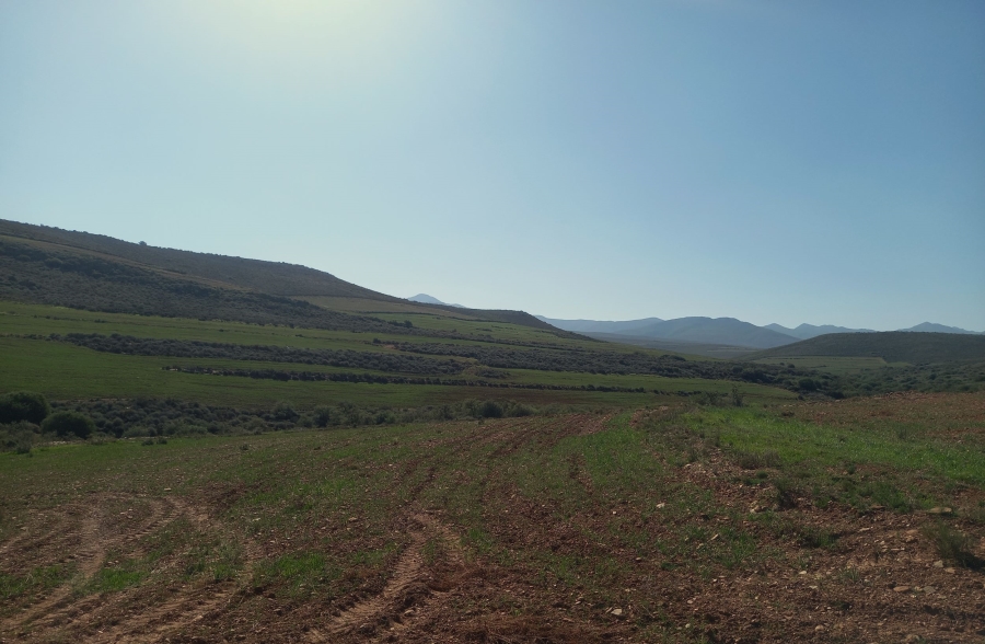 Commercial Property for Sale in George Rural Western Cape